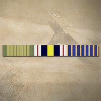 NATIONAL EMERGENCY MEDAL + NPSM + NATIONAL MEDAL RIBBON BAR STICKER DECAL