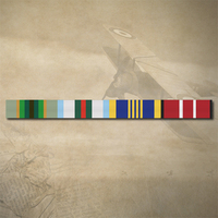 ASM 75+, INTEREFT, DLSM AND ADM MEDAL RIBBON BAR STICKER / DECAL | WATER & UV PROOF