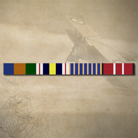 AOSM BORDER PROTECT, NPSM, NATIONAL AND ADM RIBBON BAR STICKER / DECAL | WATER & UV PROOF