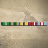 AASM + ASM + DLSM(1 ROSETTE) + ADM + UNTEAT MEDAL RIBBON BAR STICKER / DECAL | WATER & UV PROOF