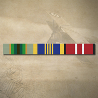 ASM 1975+, DLSM + ADM MEDAL RIBBON BAR STICKER / DECAL | WATER & UV PROOF