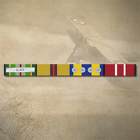 AASM 75+ (ICAT), IRAQ, DFSM (4 ROSETTES) AND ADM MEDAL RIBBON BAR STICKER / DECAL | WATER & UV PROOF