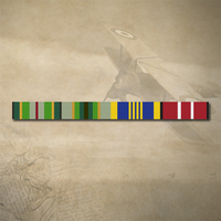 AASM 75+, ASM, DLSM AND ADM MEDAL RIBBON BAR STICKER / DECAL | WATER & UV PROOF