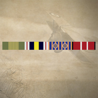 NEM + NPSM + NATIONAL MEDAL (2 ROSETTES) + ADM RIBBON BAR STICKER / DECAL | WATER & UV PROOF