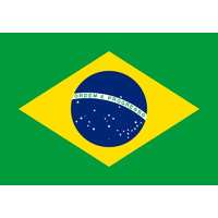 BRAZIL COUNTRY FLAG | STICKER | DECAL | MULTIPLE STYLES TO CHOOSE FROM