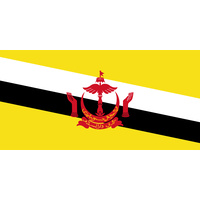 BRUNEI COUNTRY FLAG | STICKER | DECAL | MULTIPLE STYLES TO CHOOSE FROM