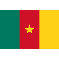 CAMEROON COUNTRY FLAG | STICKER | DECAL | MULTIPLE STYLES TO CHOOSE FROM