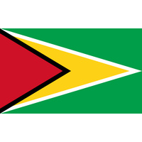 GUYANA COUNTRY FLAG | STICKER | DECAL | MULTIPLE STYLES TO CHOOSE FROM