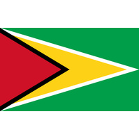 GUYANA COUNTRY FLAG | STICKER | DECAL | MULTIPLE STYLES TO CHOOSE FROM