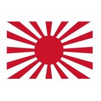 JAPANESE ARMY RISING SUN FLAG DECAL | STICKER | 120mm x 80mm | JDM | WAR | SUNRISE