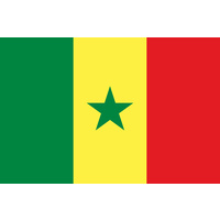 SENEGAL COUNTRY FLAG | STICKER | DECAL | MULTIPLE STYLES TO CHOOSE FROM