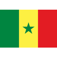 SENEGAL COUNTRY FLAG | STICKER | DECAL | MULTIPLE STYLES TO CHOOSE FROM