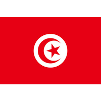 TUNISIA COUNTRY FLAG | STICKER | DECAL | MULTIPLE STYLES TO CHOOSE FROM