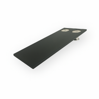 Full Size Medal Court Mounting Plate [ 1 Medal ] | 32mm x 75mm [Without Pre-Drilled Holes]