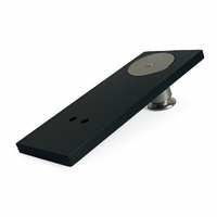 Miniature Medal Court Mounting Plate [ 1 Medal ] | 16mm x 40mm