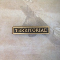 NZ DEFENCE MEDAL TERRITORIAL CLASP | NZDM ** CLEARANCE **