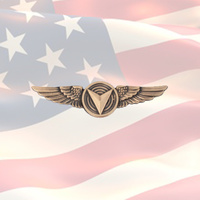 USMC UNMANNED AIRCRAFT SYSTEM ENLISTED BADGE - BRONZE | DRONE | MARINE | UAV