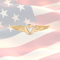 USMC Unmanned Aircraft Systems (Drone) Enlisted - Gold Badge