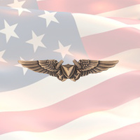 USMC Unmanned Aircraft Systems (Drone) Officer - Bronze Badge