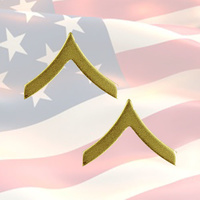 U.S.M.C PRIVATE FIRST CLASS CHEVRONS | PAIR | 22K GOLD PLATED | COMBAT 