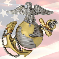 USMC OFFICER DRESS CAP BADGE | GENUINE | GOLD + SILVER | EGA | GLOBE & ANCHOR 