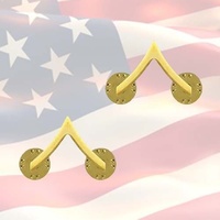 U.S. ARMY PRIVATE CHEVRONS | PAIR | 22K GOLD PLATED | GENUINE ISSUE | COMBAT 