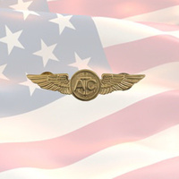 U.S. NAVY AIRCREW BADGE | USN | COMBAT | MISSION | FLIGHT