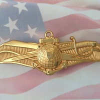 USN - Officer Information Dominance Corps Warfare Badge | USA | GENUINE