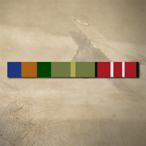 AOSM BORDER PROTECT+ HOSM +ADM MEDAL RIBBON BAR STICKER / DECAL | WATER & UV PROOF [Size: 15mm x 135mm]