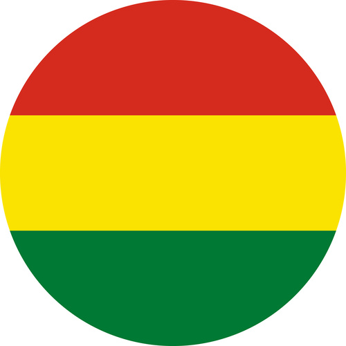 BENIN COUNTRY FLAG | STICKER | DECAL | MULTIPLE STYLES TO CHOOSE FROM [Size: Circle - 75mm Diameter]