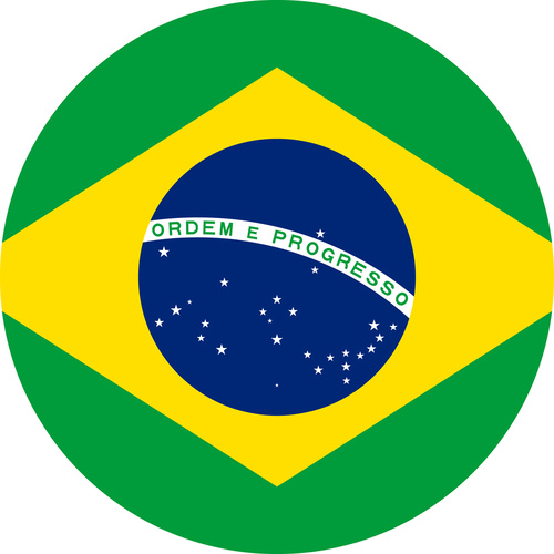 BRAZIL COUNTRY FLAG | STICKER | DECAL | MULTIPLE STYLES TO CHOOSE FROM [Size: Circle - 75mm Diameter]