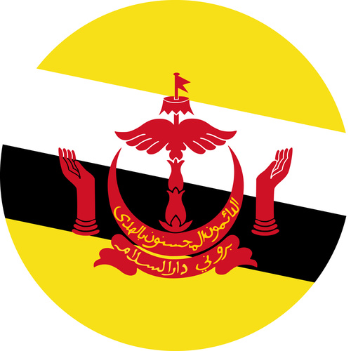 BRUNEI COUNTRY FLAG | STICKER | DECAL | MULTIPLE STYLES TO CHOOSE FROM [Size: Circle - 75mm Diameter]