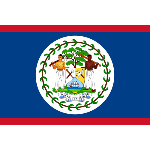 BELIZE COUNTRY FLAG | STICKER | DECAL | MULTIPLE STYLES TO CHOOSE FROM [Size: Circle - 75mm Diameter]