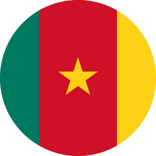CAMEROON COUNTRY FLAG | STICKER | DECAL | MULTIPLE STYLES TO CHOOSE FROM [Size: Circle - 75mm Diameter]