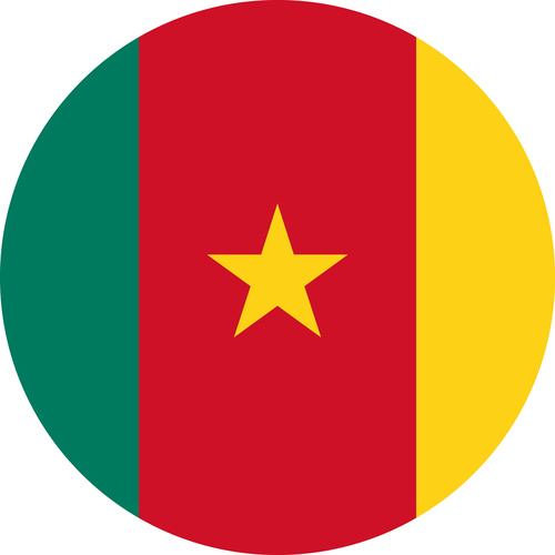 CAMEROON COUNTRY FLAG | STICKER | DECAL | MULTIPLE STYLES TO CHOOSE FROM [Size: Circle - 75mm Diameter]