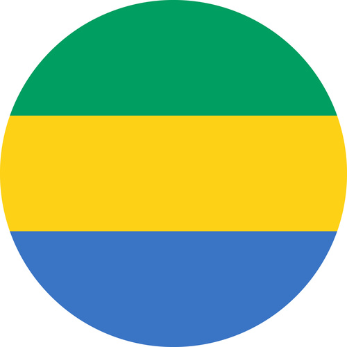 GABON COUNTRY FLAG | STICKER | DECAL | MULTIPLE STYLES TO CHOOSE FROM [Size: Circle - 75mm Diameter]