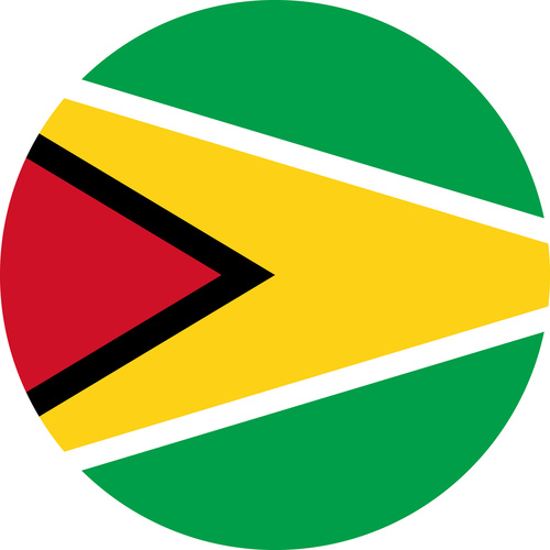 GUYANA COUNTRY FLAG | STICKER | DECAL | MULTIPLE STYLES TO CHOOSE FROM [Size: Circle - 75mm Diameter]