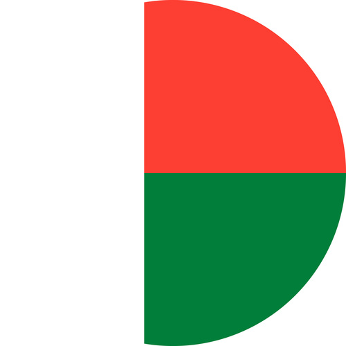 MADAGASCAR COUNTRY FLAG | STICKER | DECAL | MULTIPLE STYLES TO CHOOSE FROM [Size: Circle - 75mm Diameter]