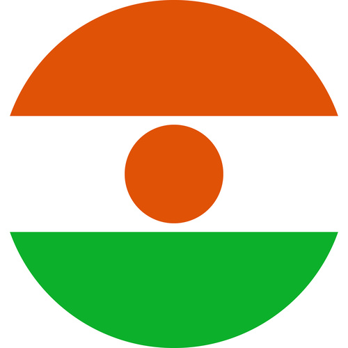 NIGER COUNTRY FLAG | STICKER | DECAL | MULTIPLE STYLES TO CHOOSE FROM [Size: Circle - 75mm Diameter]
