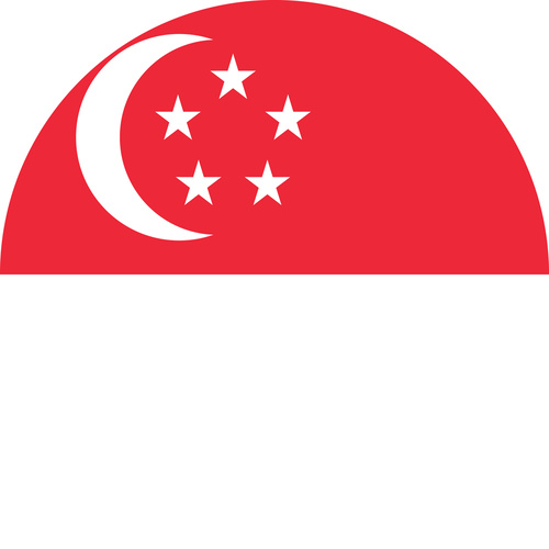 SINGAPORE COUNTRY FLAG | STICKER | DECAL | MULTIPLE STYLES TO CHOOSE FROM [Size: Circle - 75mm Diameter]