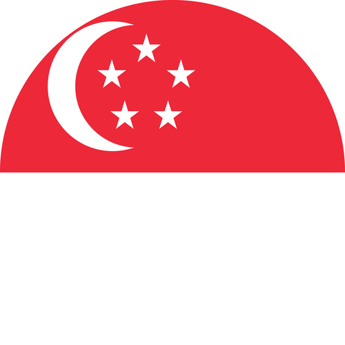 SINGAPORE COUNTRY FLAG | STICKER | DECAL | MULTIPLE STYLES TO CHOOSE FROM [Size: Circle - 75mm Diameter]