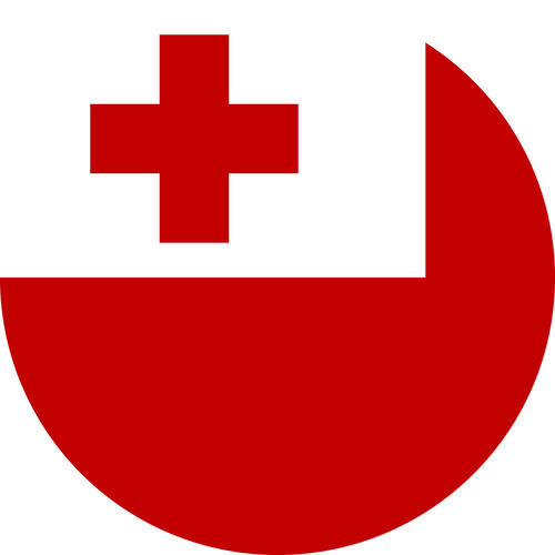 TONGA COUNTRY FLAG | STICKER | DECAL | MULTIPLE STYLES TO CHOOSE FROM [Size: Circle - 75mm Diameter]