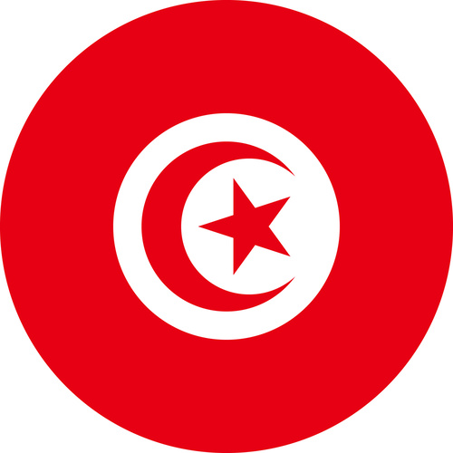 TUNISIA COUNTRY FLAG | STICKER | DECAL | MULTIPLE STYLES TO CHOOSE FROM [Size: Circle - 75mm Diameter]
