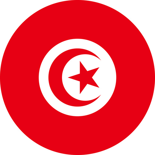 TUNISIA COUNTRY FLAG | STICKER | DECAL | MULTIPLE STYLES TO CHOOSE FROM [Size: Circle - 75mm Diameter]