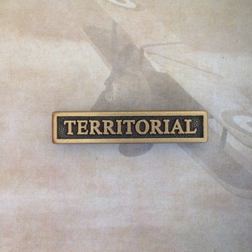 NZ DEFENCE MEDAL TERRITORIAL CLASP | NZDM ** CLEARANCE **