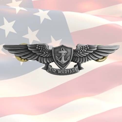 US NAVY AIR WARFARE WINGS BADGE | EAWS | NAWS | OPERATIONS | MILITARY