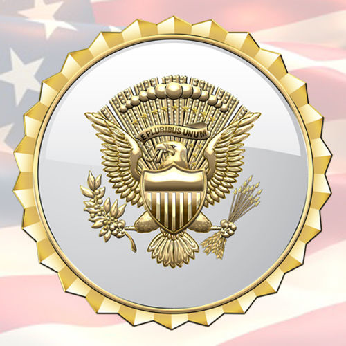 U.S. Vice Presidential Service Lapel Badge  | MILITARY | SEAL 