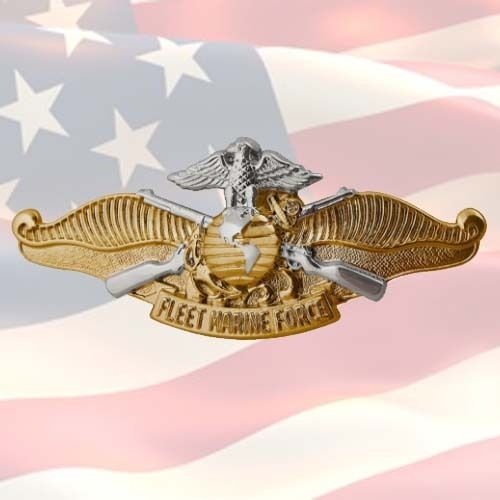 US NAVY FLEET MARINE FORCE BADGE (OFFICER)  | USN | WAR ON TERROR | FMFWO